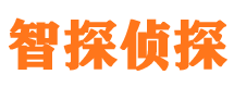 内江市婚外情调查